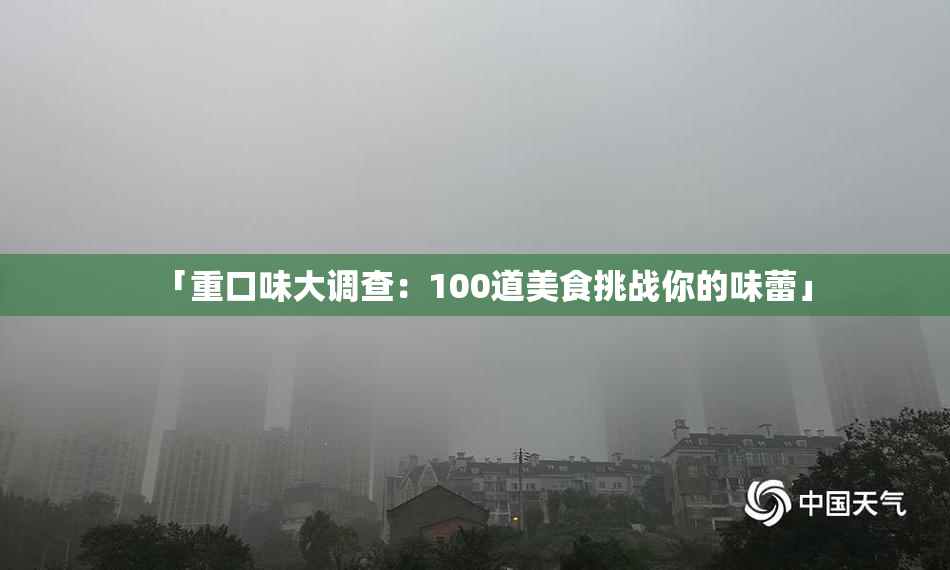 「重口味大调查：100道美食挑战你的味蕾」