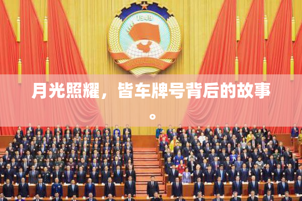 月光照耀，皆车牌号背后的故事。