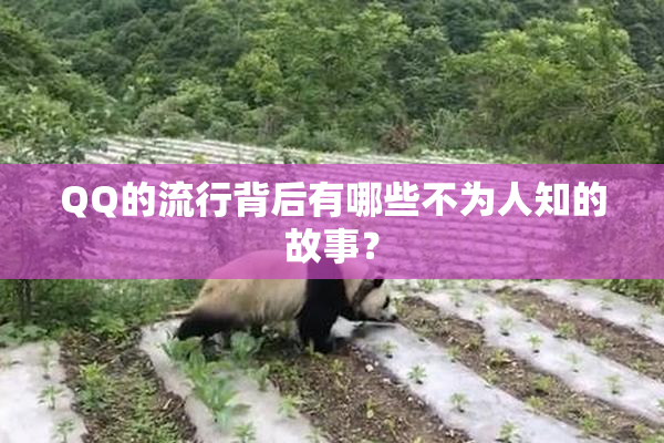 QQ的流行背后有哪些不为人知的故事？
