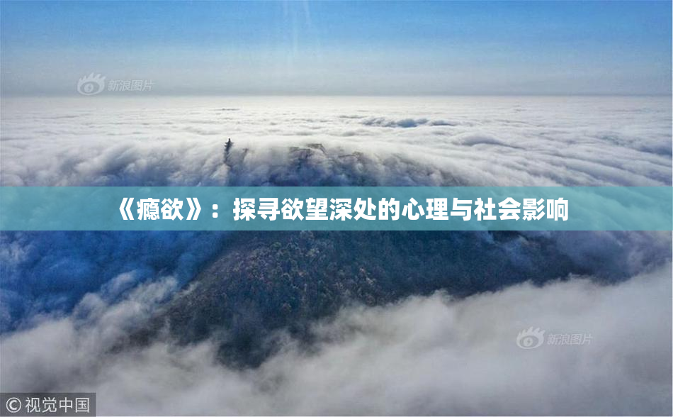 《瘾欲》：探寻欲望深处的心理与社会影响