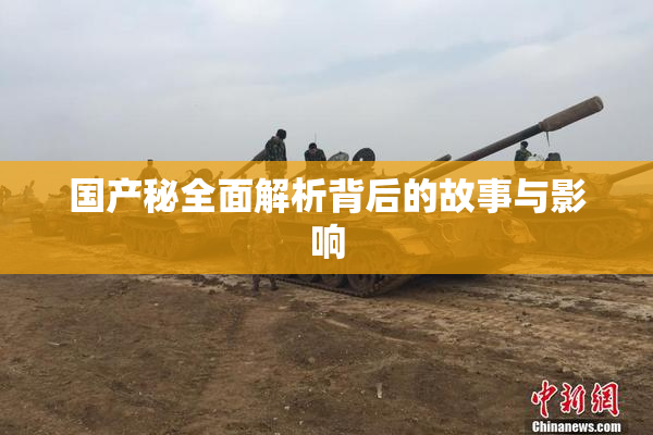 国产秘全面解析背后的故事与影响