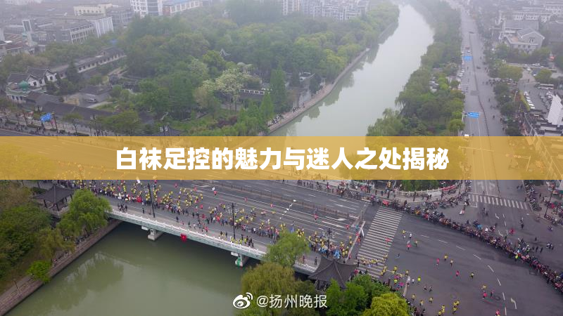 白袜足控的魅力与迷人之处揭秘