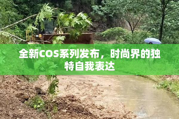 全新COS系列发布，时尚界的独特自我表达