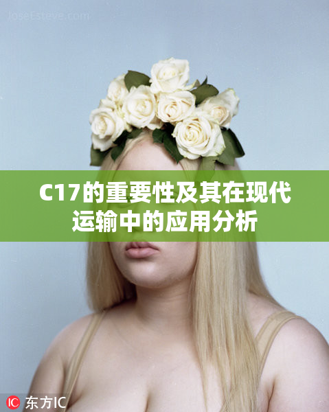 C17的重要性及其在现代运输中的应用分析