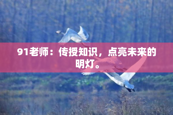 91老师：传授知识，点亮未来的明灯。