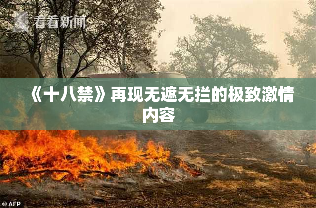 《十八禁》再现无遮无拦的极致激情内容