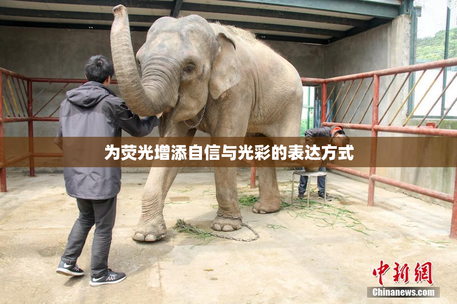 为荧光增添自信与光彩的表达方式