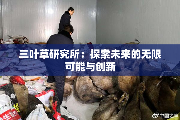 三叶草研究所：探索未来的无限可能与创新
