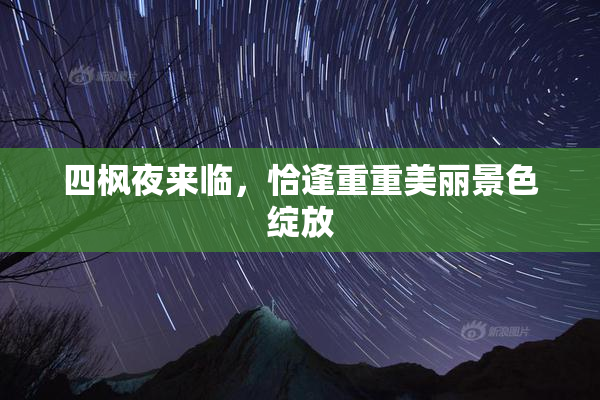 四枫夜来临，恰逢重重美丽景色绽放
