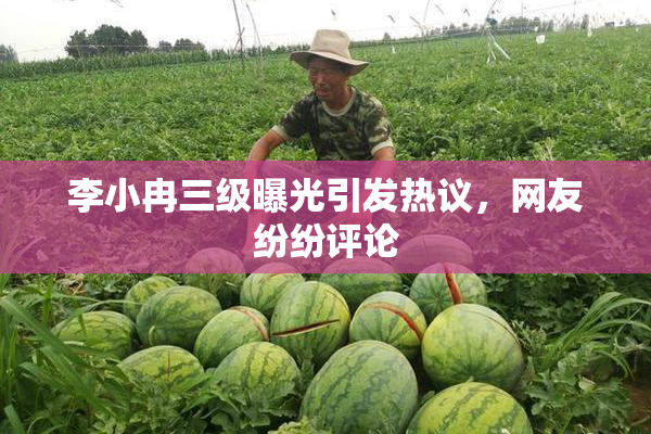 李小冉三级曝光引发热议，网友纷纷评论