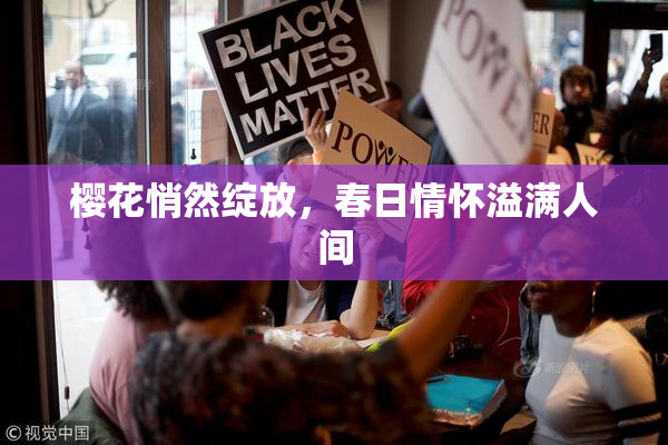 樱花悄然绽放，春日情怀溢满人间