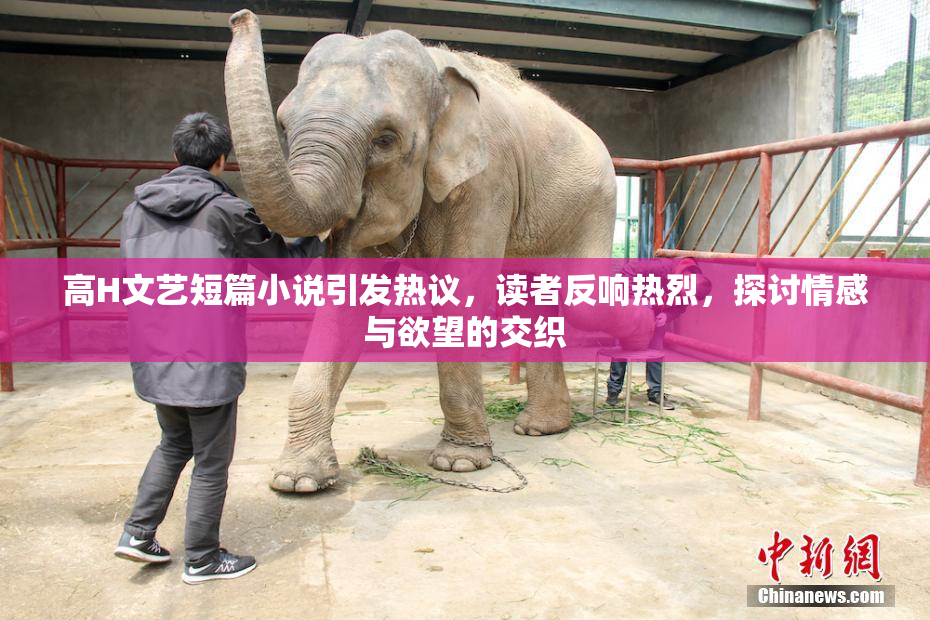 高H文艺短篇小说引发热议，读者反响热烈，探讨情感与欲望的交织