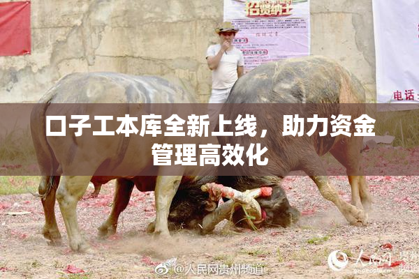 口子工本库全新上线，助力资金管理高效化