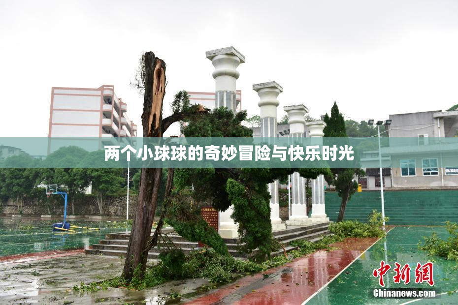 两个小球球的奇妙冒险与快乐时光