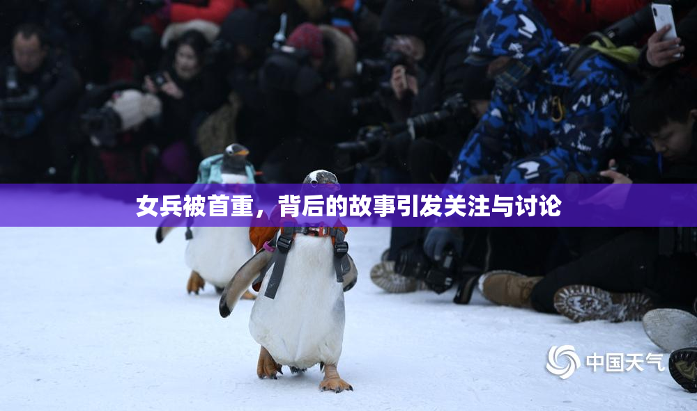 女兵被首重，背后的故事引发关注与讨论