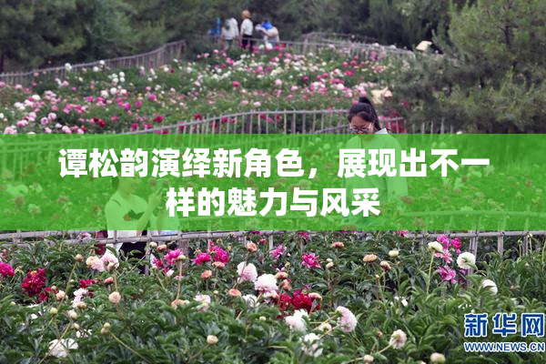 谭松韵演绎新角色，展现出不一样的魅力与风采