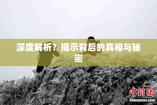 深度解析？揭示背后的真相与秘密