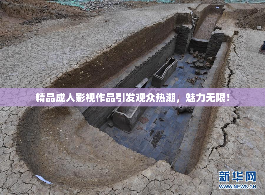 精品成人影视作品引发观众热潮，魅力无限！