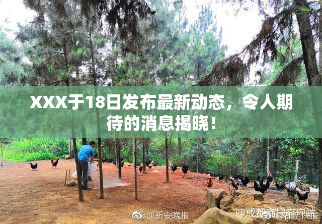XXX于18日发布最新动态，令人期待的消息揭晓！