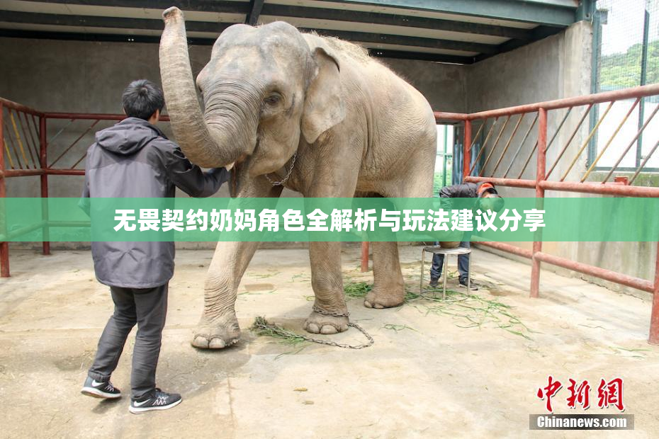 无畏契约奶妈角色全解析与玩法建议分享