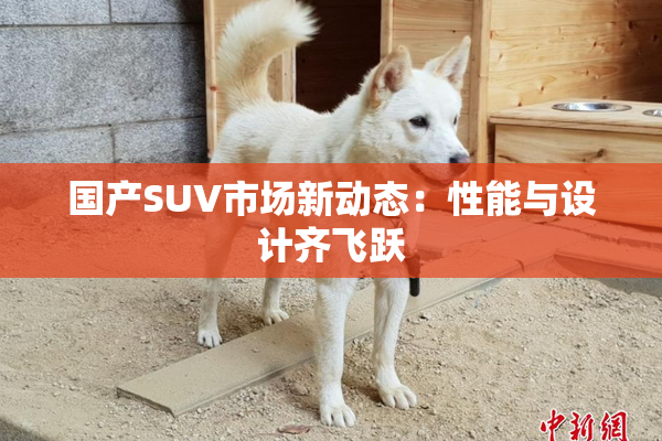 国产SUV市场新动态：性能与设计齐飞跃