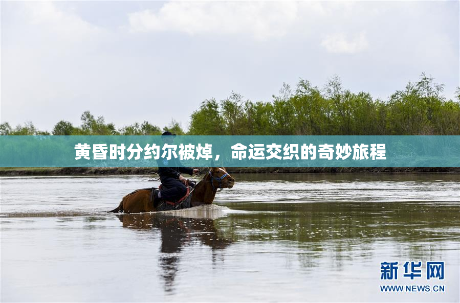 黄昏时分约尔被焯，命运交织的奇妙旅程