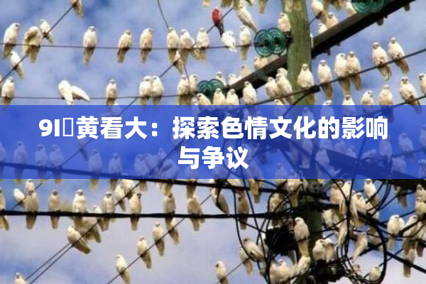 9I婬黄看大：探索色情文化的影响与争议