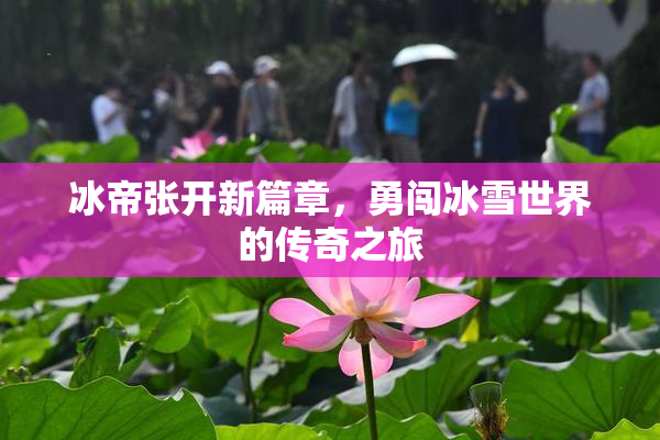 冰帝张开新篇章，勇闯冰雪世界的传奇之旅
