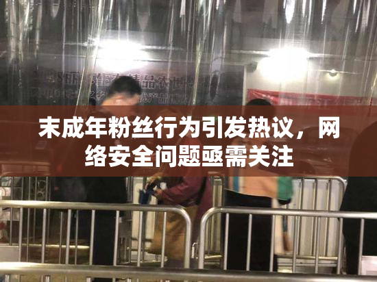 末成年粉丝行为引发热议，网络安全问题亟需关注