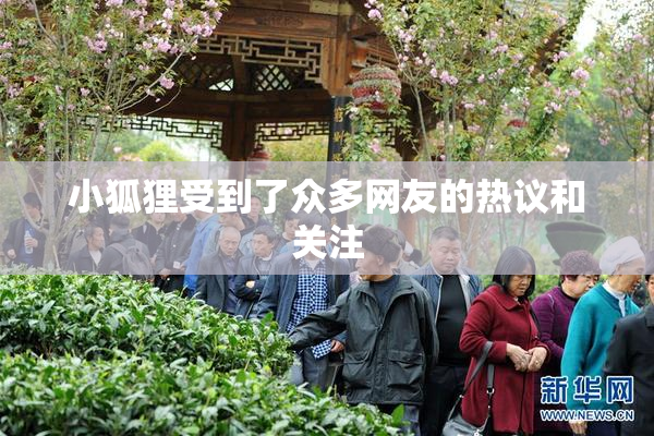 小狐狸受到了众多网友的热议和关注