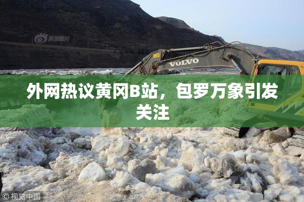 外网热议黄冈B站，包罗万象引发关注