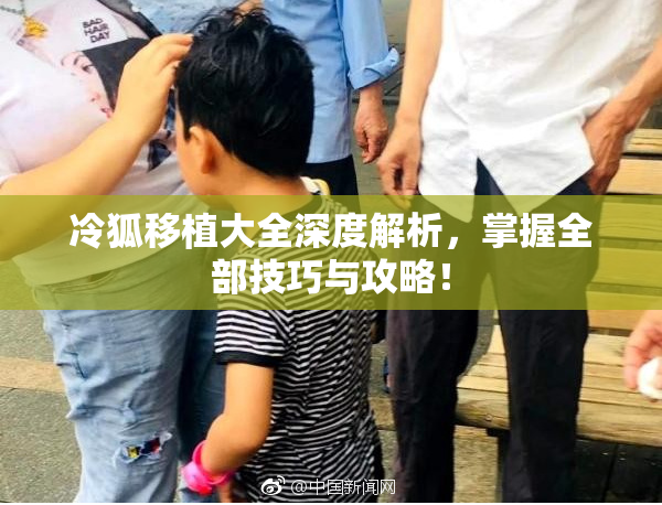 冷狐移植大全深度解析，掌握全部技巧与攻略！