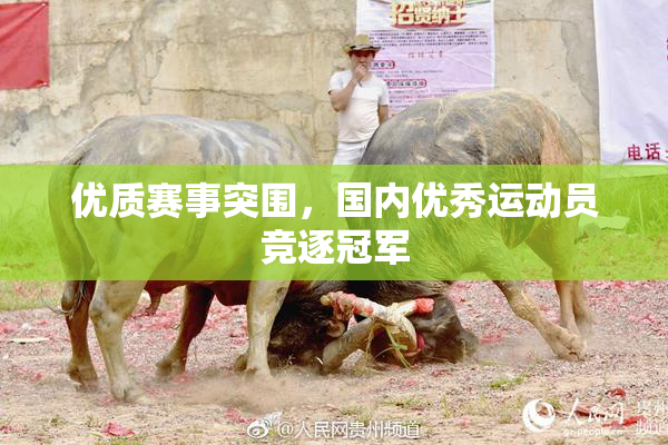 优质赛事突围，国内优秀运动员竞逐冠军