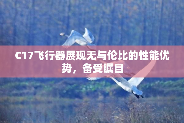 C17飞行器展现无与伦比的性能优势，备受瞩目