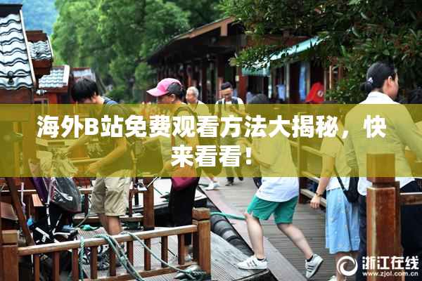 海外B站免费观看方法大揭秘，快来看看！