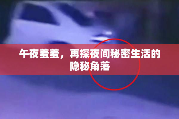 午夜羞羞，再探夜间秘密生活的隐秘角落
