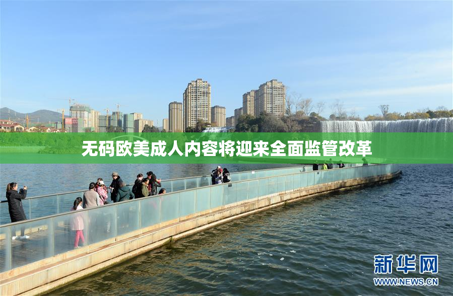 无码欧美成人内容将迎来全面监管改革