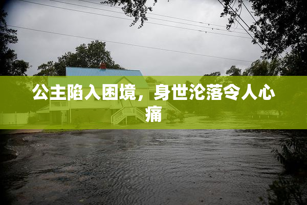 公主陷入困境，身世沦落令人心痛