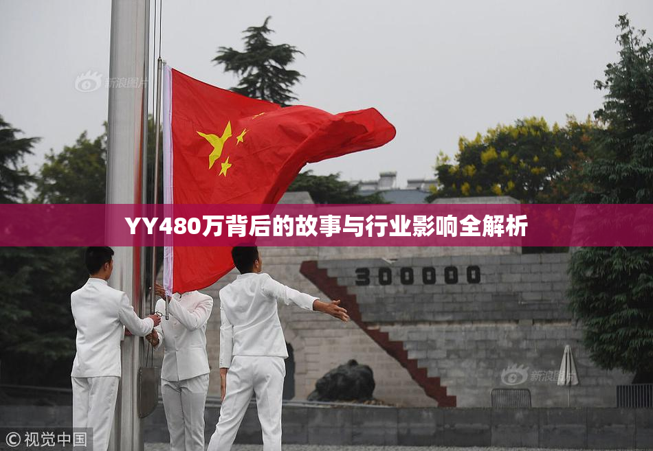 YY480万背后的故事与行业影响全解析