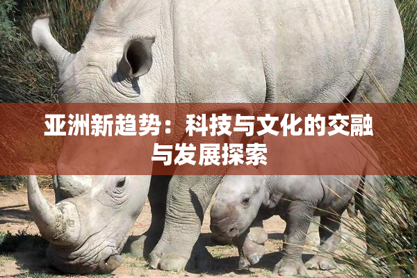 亚洲新趋势：科技与文化的交融与发展探索