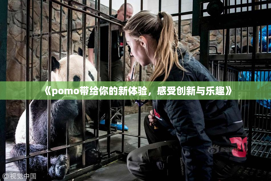 《pomo带给你的新体验，感受创新与乐趣》
