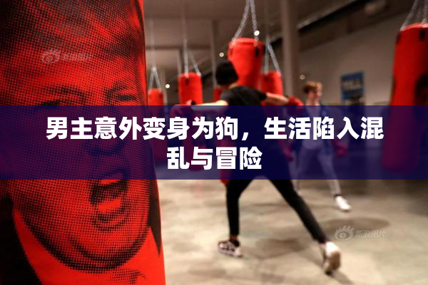 男主意外变身为狗，生活陷入混乱与冒险