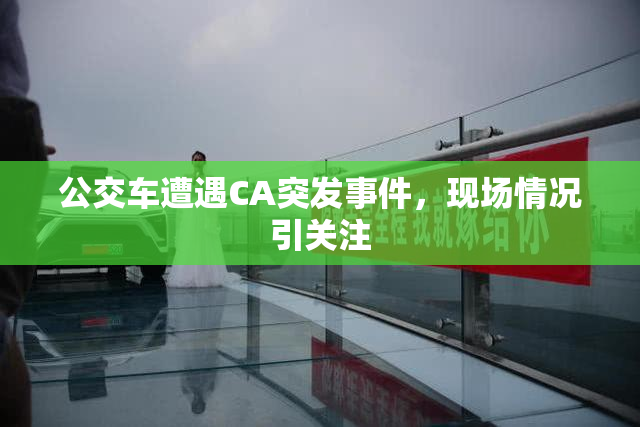 公交车遭遇CA突发事件，现场情况引关注