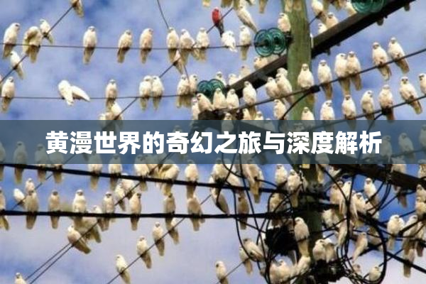 黄漫世界的奇幻之旅与深度解析