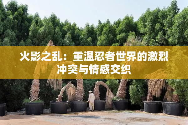 火影之乱：重温忍者世界的激烈冲突与情感交织