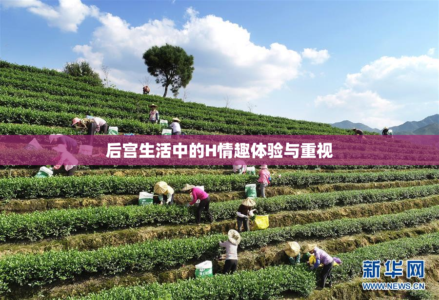 后宫生活中的H情趣体验与重视