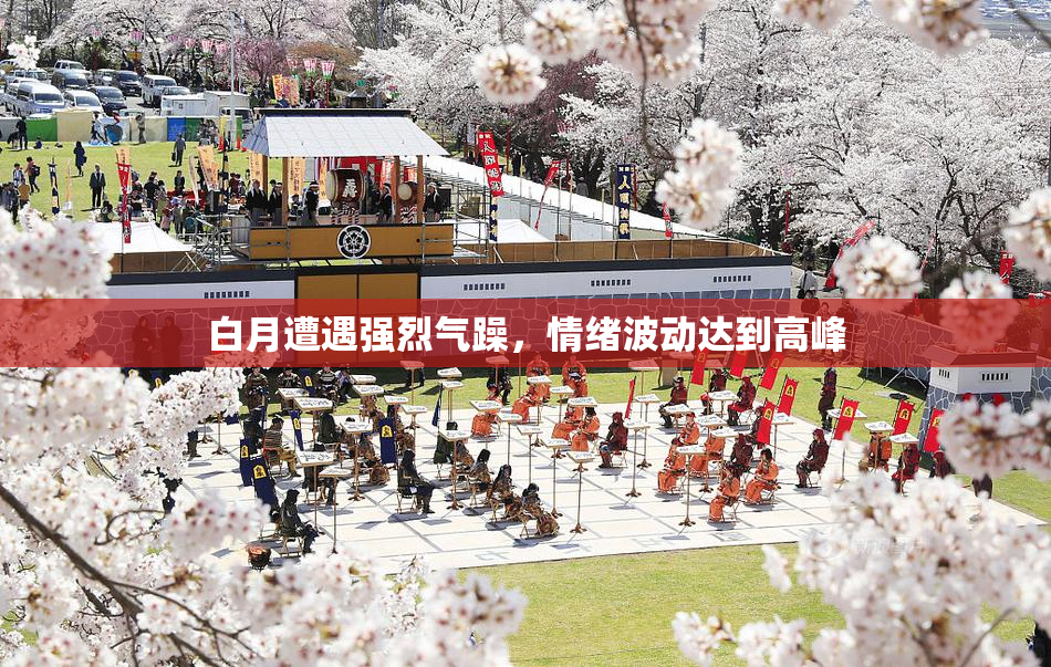 白月遭遇强烈气躁，情绪波动达到高峰