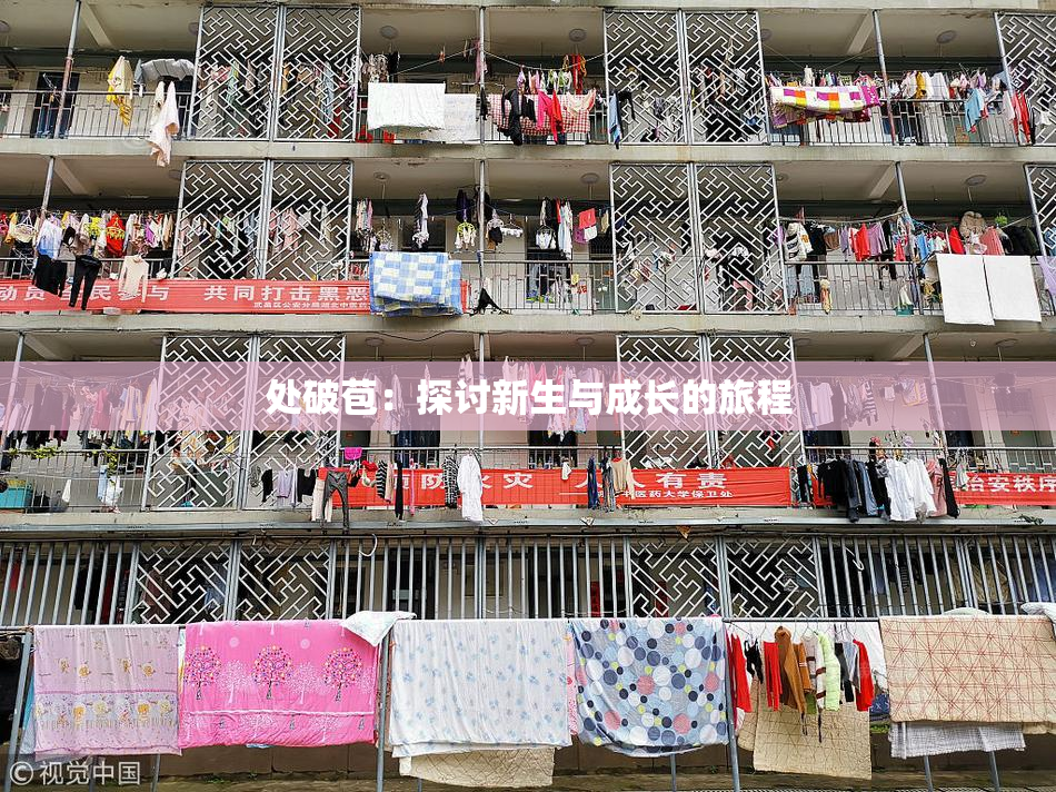 处破苞：探讨新生与成长的旅程