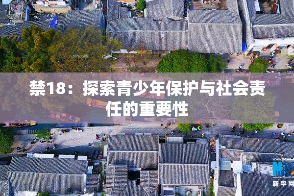 禁18：探索青少年保护与社会责任的重要性
