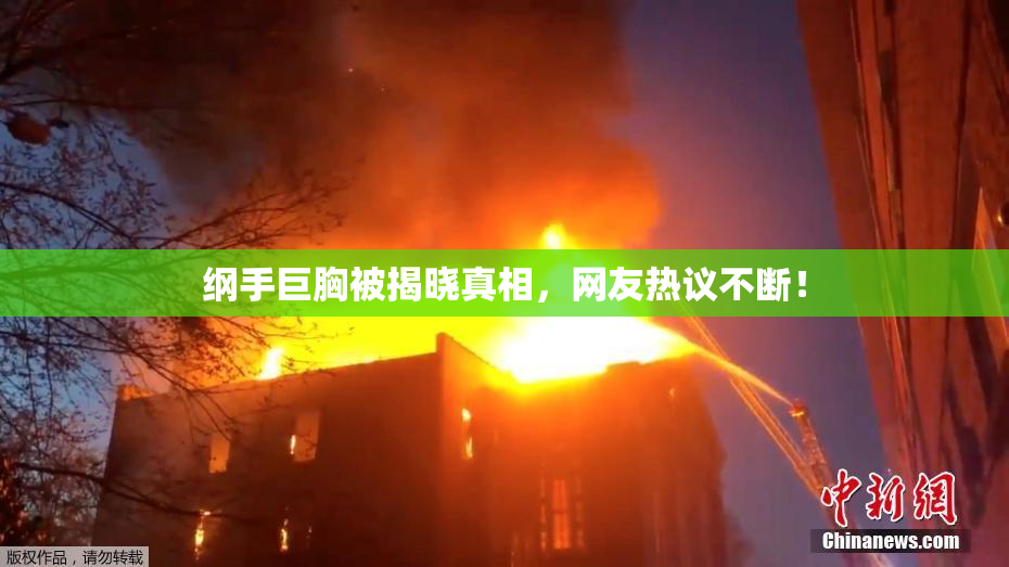 纲手巨胸被揭晓真相，网友热议不断！
